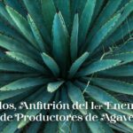 Morelos, Anfitrión del 1er Encuentro  de Productores de Agave